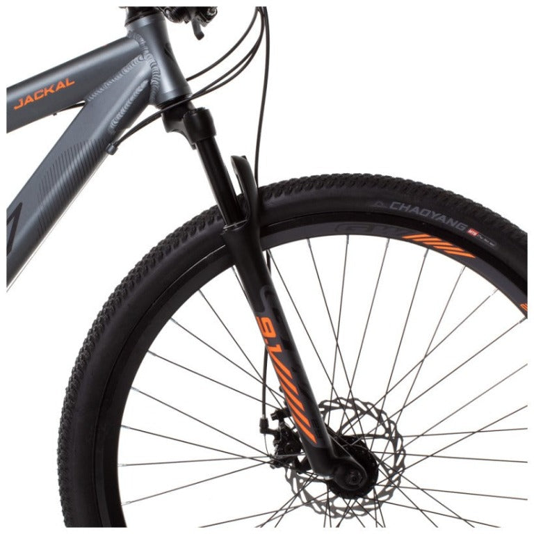 BICICLETA 29 JACKAL 7 VEL GW 9,1 MECANICO (060565)