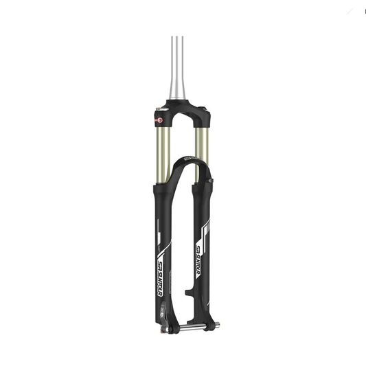 SUSPENSION 29 RAIDON SUNTOUR SF-16 XC-AIR RL-R 100 TS